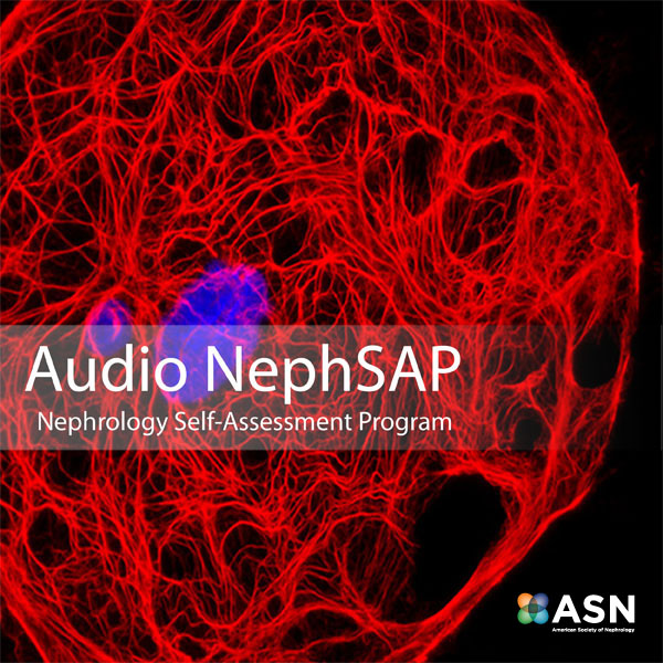 Audio nephSAP Podcast artwork